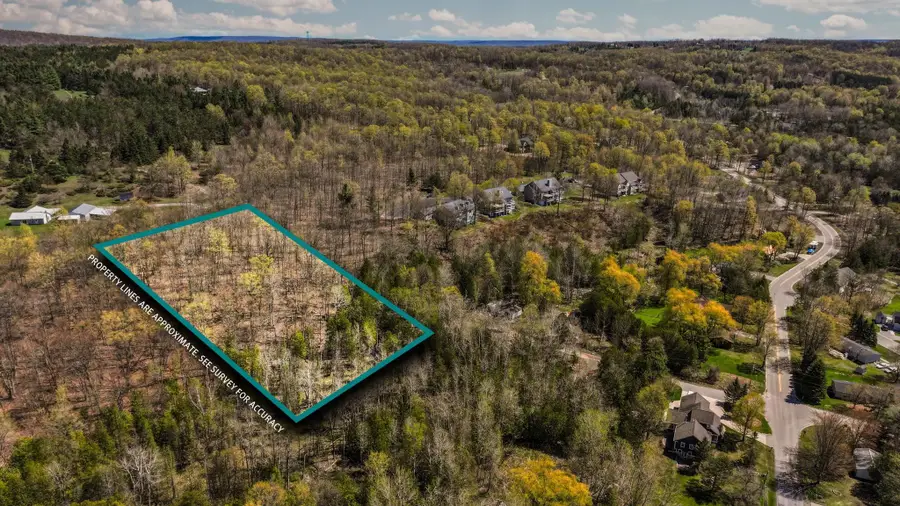 00 Lynn, Boyne City, MI 49712 - #2