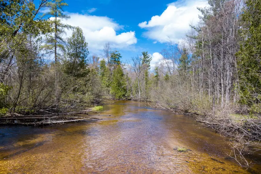 15266 Healy Lake, Bear Lake, MI 49614 - #2
