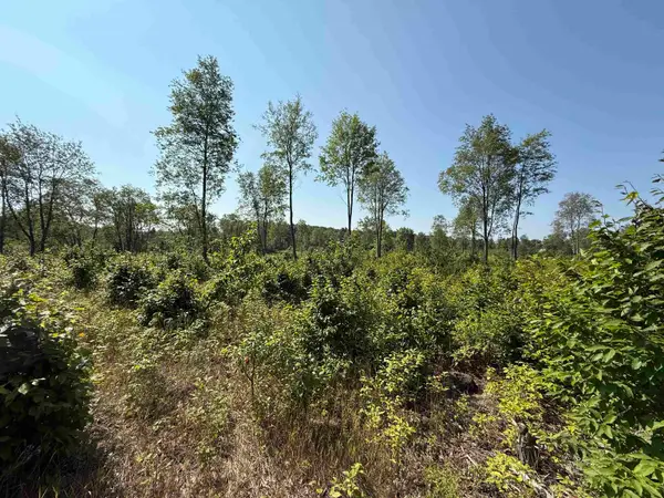 Parcel A 3 E Kasson, Maple City, MI 49664