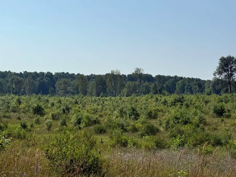 Parcel A 1 E Kasson, Maple City, MI 49664 - #3