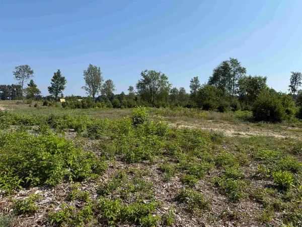 Parcel A 8 S Bright, Maple City, MI 49664