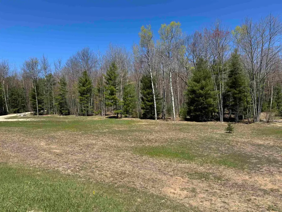 4247 SW Bald Eagles, Boardman, MI 49680 - #3