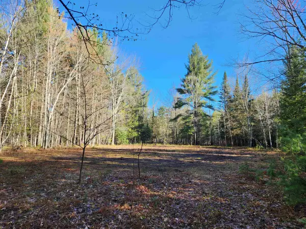 00 Adams, Kalkaska, MI 49646