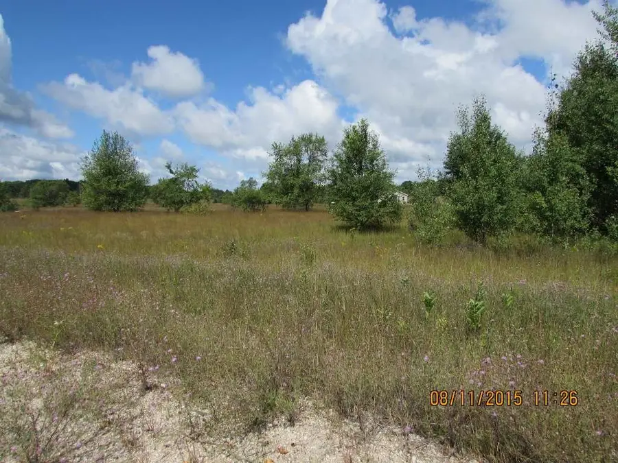 852 Grouse, Kalkaska, MI 49646 - #3