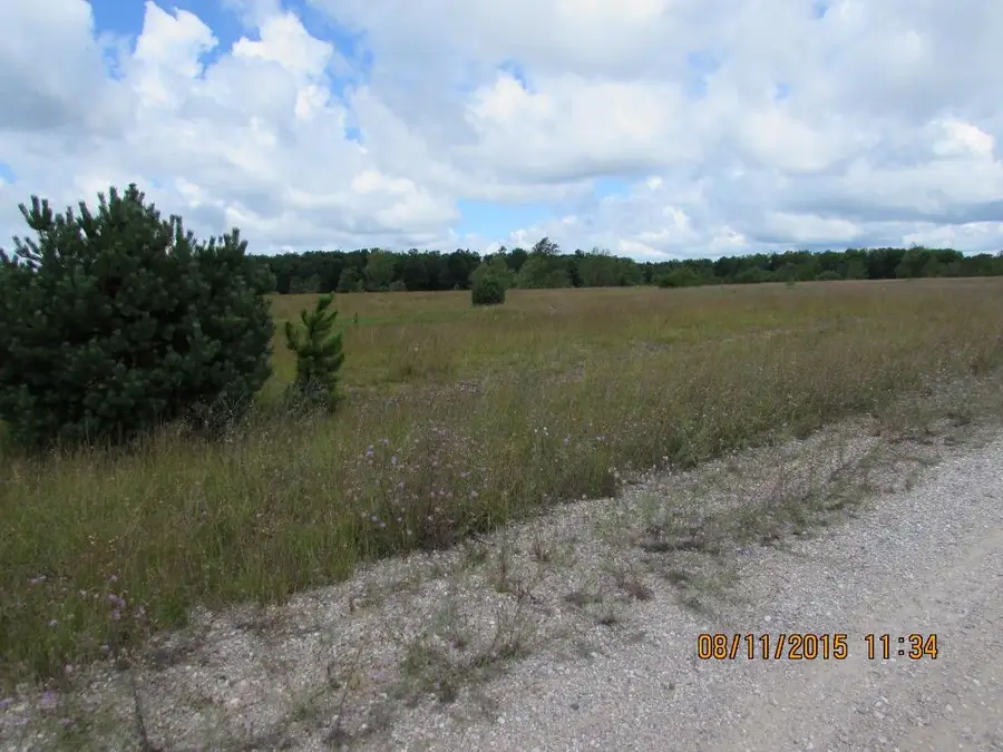 682 Grouse, Kalkaska, MI 49646 - #3