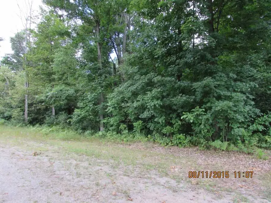 417 Grouse, Kalkaska, MI 49646 - #3