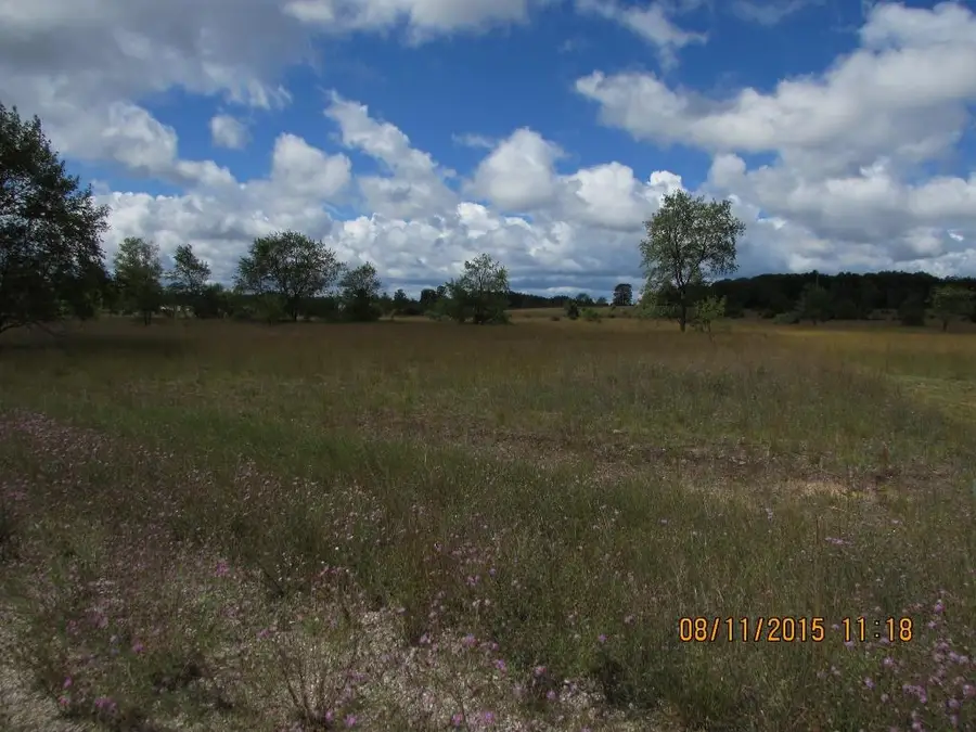 Unit 23 Grouse, Kalkaska, MI 49646 - #3