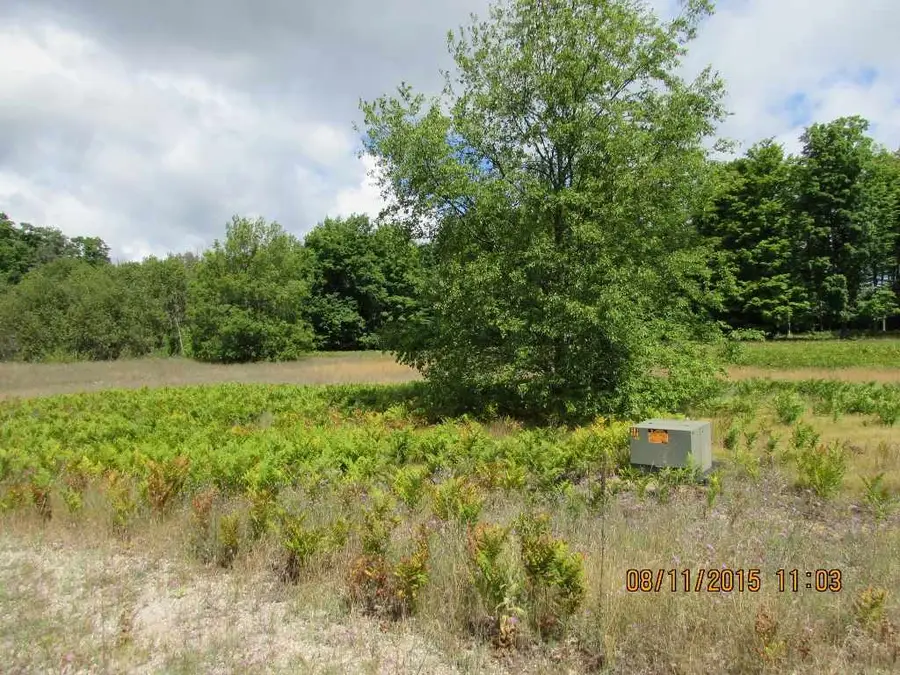 515 Grouse, Kalkaska, MI 49646 - #3