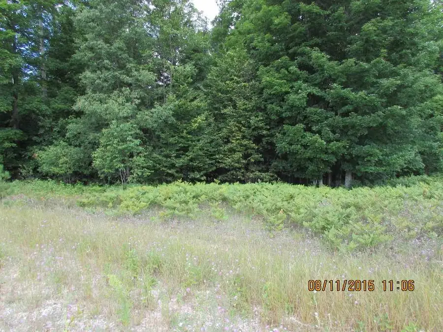 455 Grouse, Kalkaska, MI 49646 - #3
