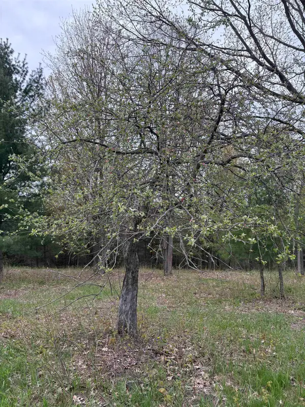 0 Shanty Creek, Bellaire, MI 49615