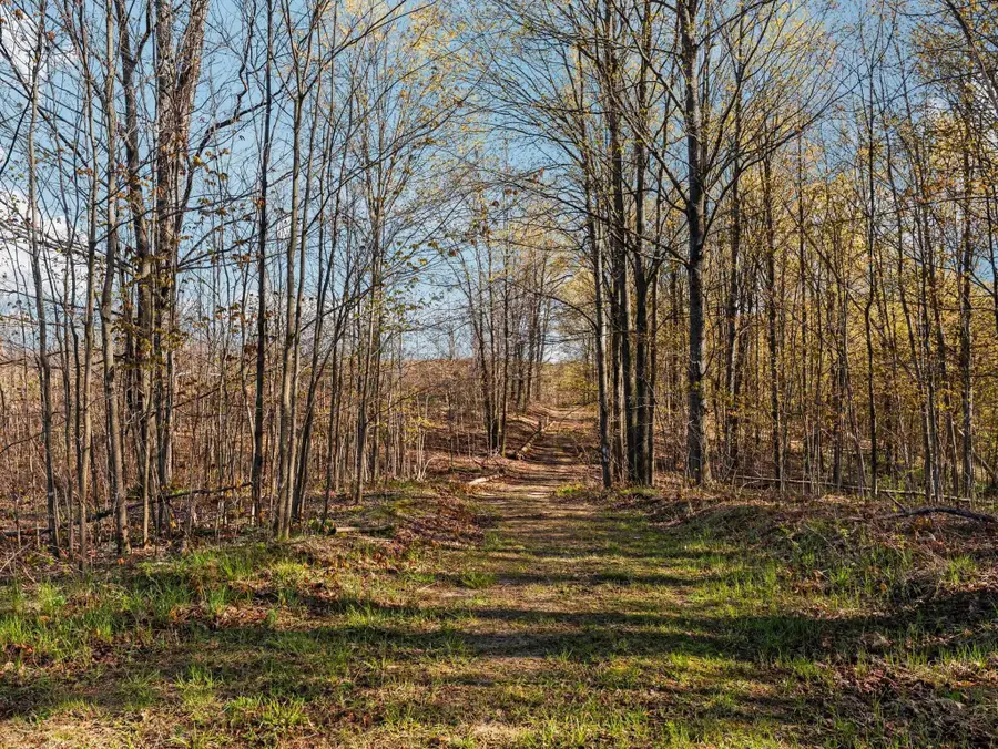 00 E 20, Colfax, MI 49663 - #3