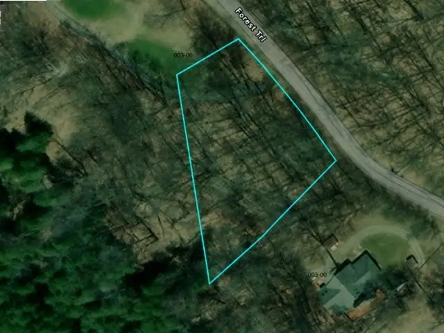 2 Forest, Bellaire, MI 49615 - #2