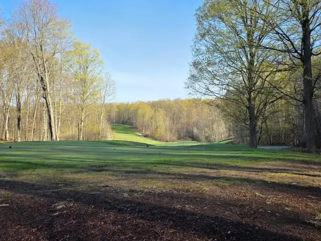 2 Forest, Bellaire, MI 49615 - #3