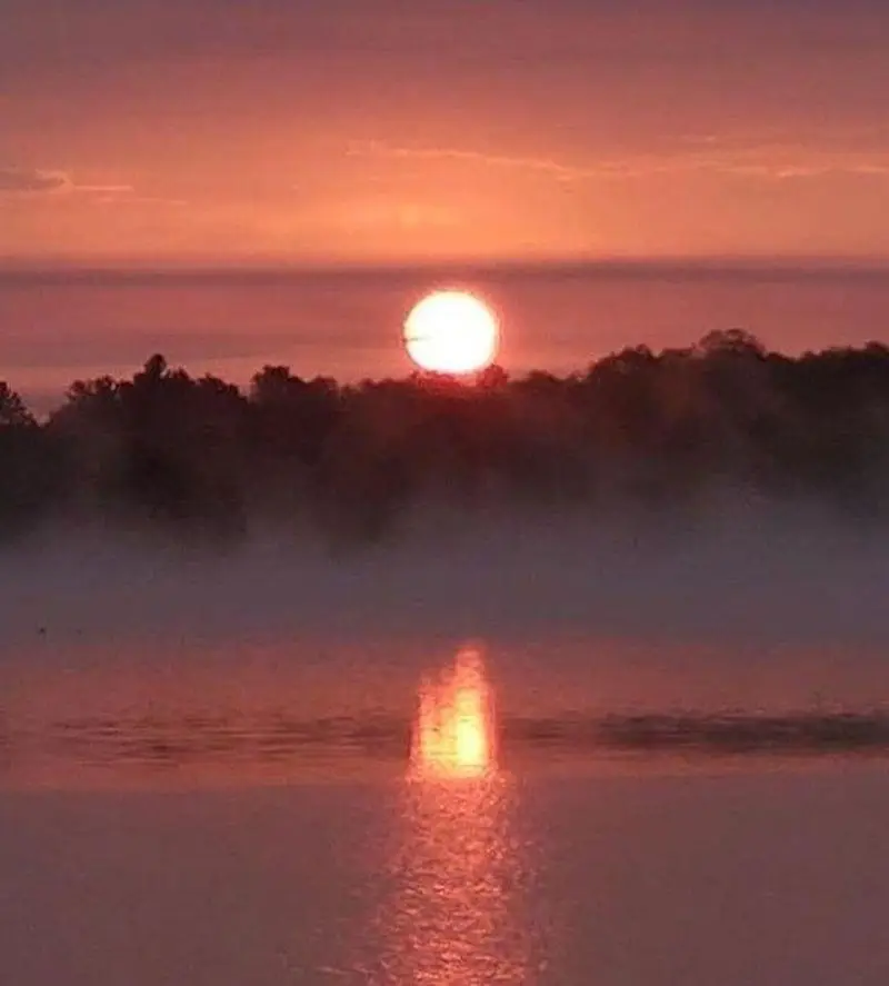 00 Wild Cherry, Hale, MI 48739 - #2