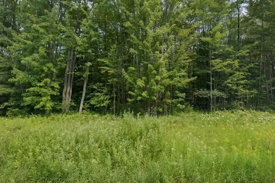 Unit 1 & 2 North, Thompsonville, MI 49683 - #2