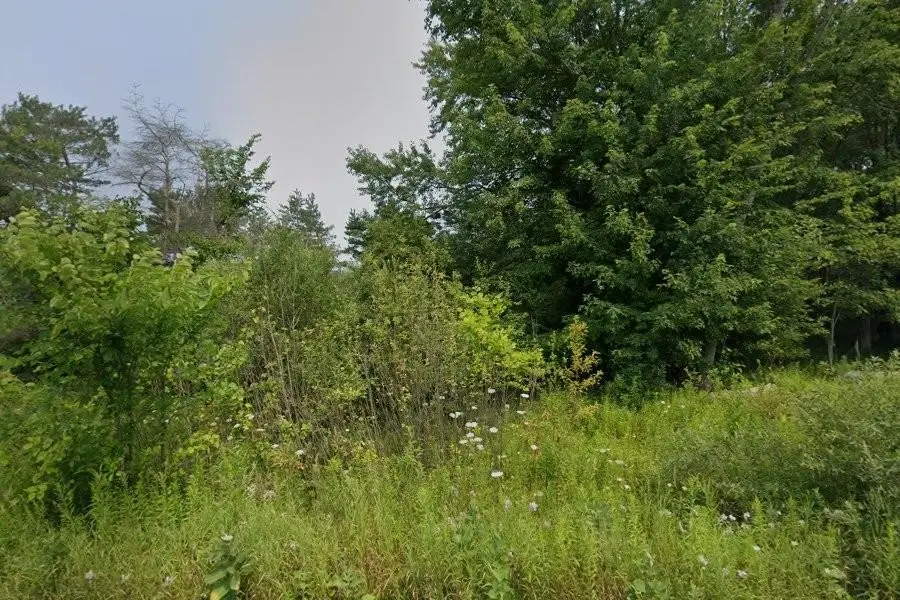 Unit 1 & 2 North, Thompsonville, MI 49683 - #3