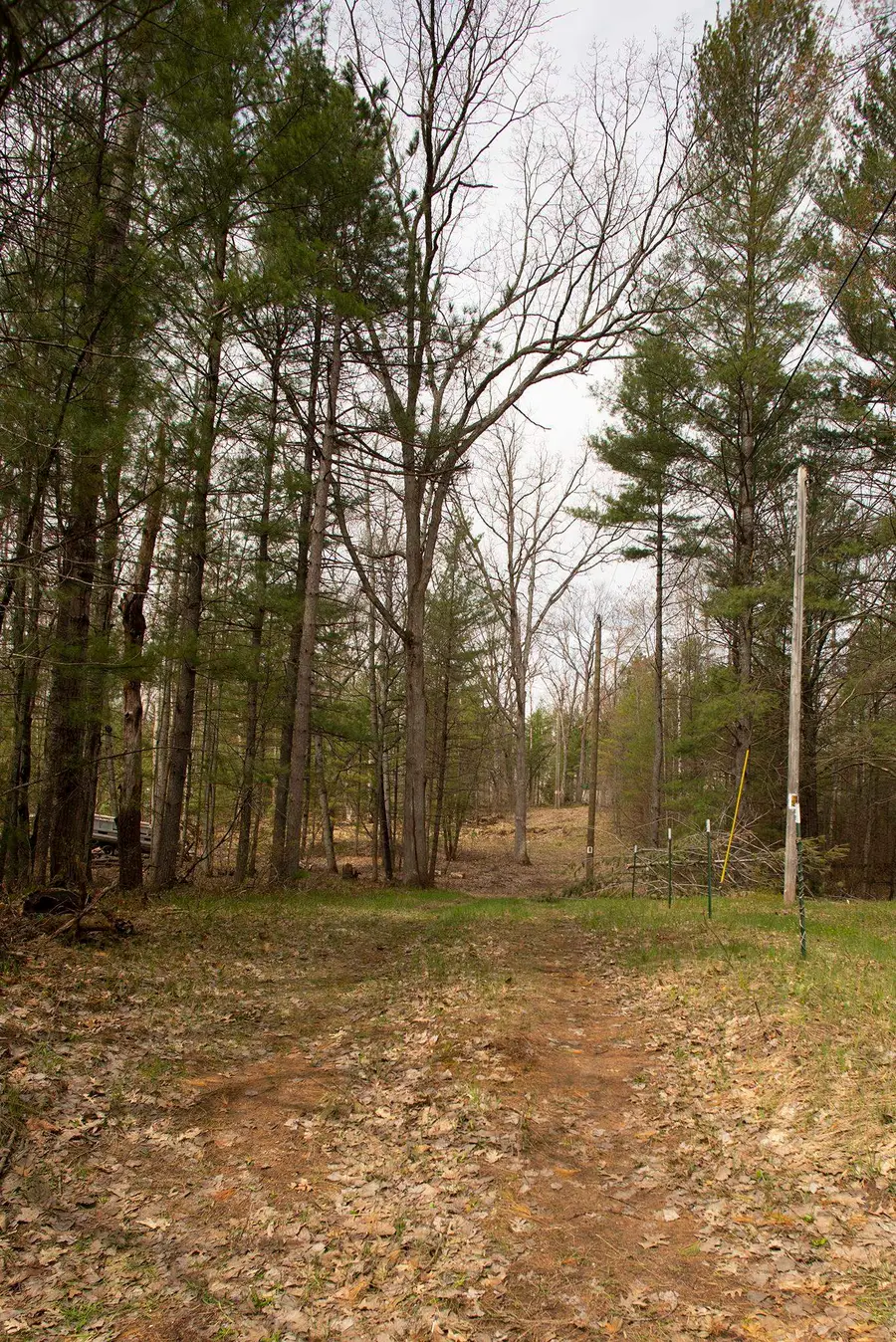 00 NE Bailey, Kalkaska, MI 49646 - #3