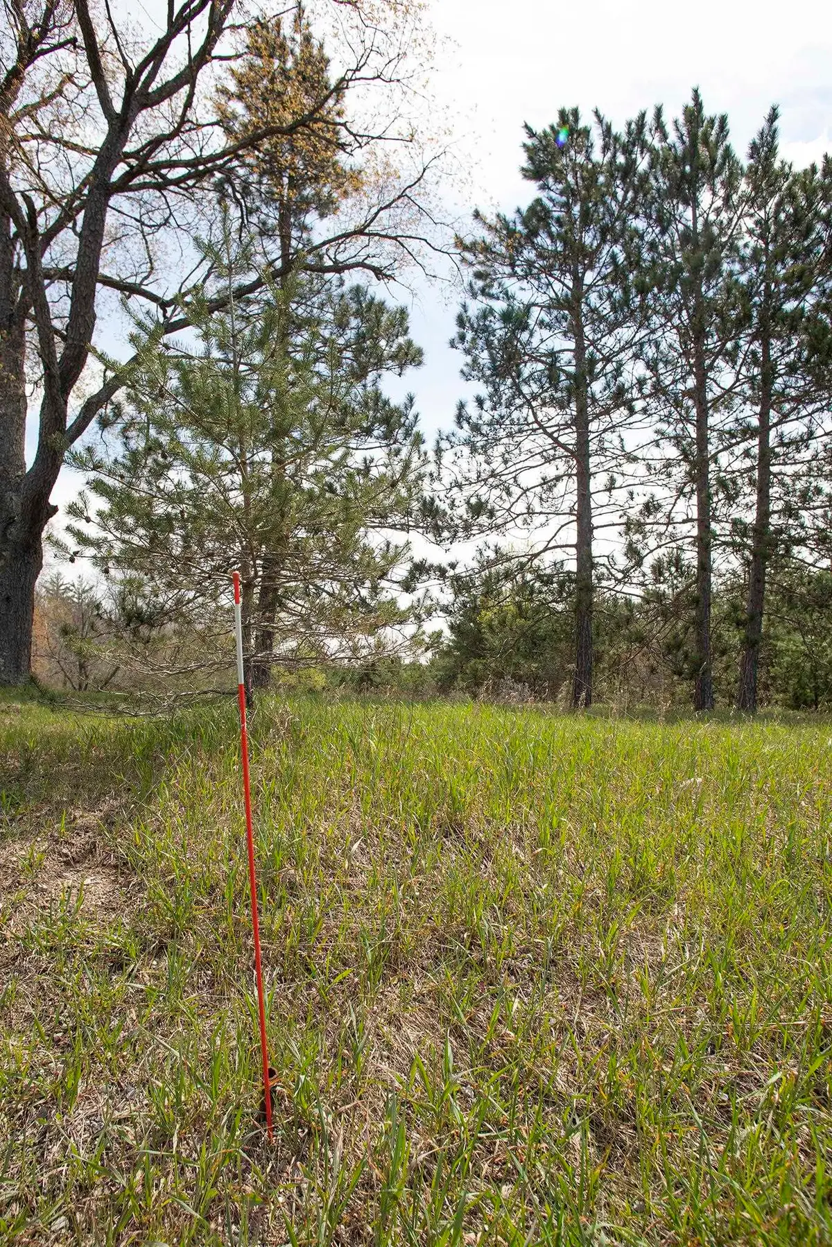 0002 M-66 Se, Fife Lake, MI 49633 - #1