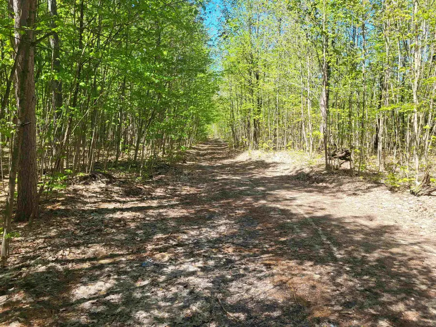 00 N Hulbert, Interlochen, MI 49643 - #2