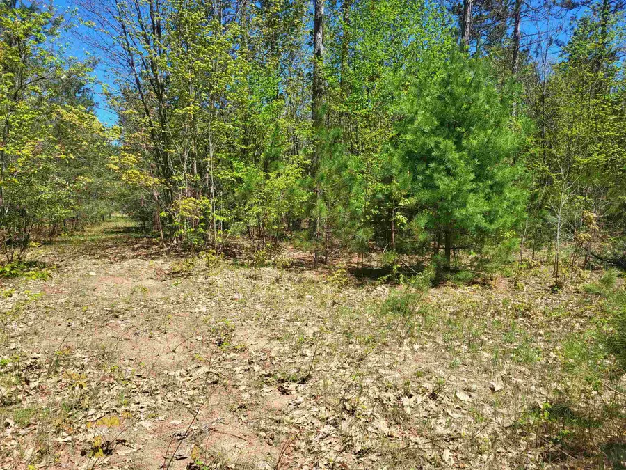 00 N Hulbert, Interlochen, MI 49643 - #3