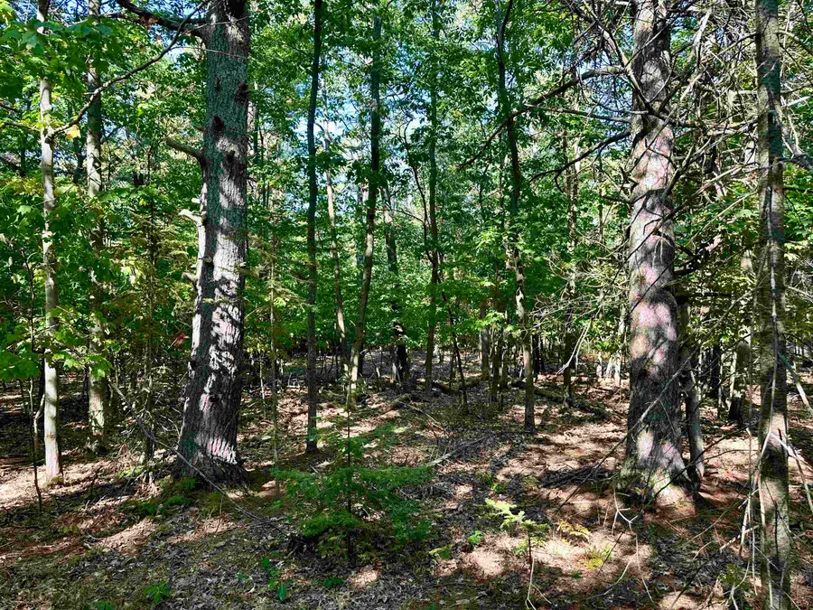 TBD Kings, Beaver Island, MI 49782 - #3
