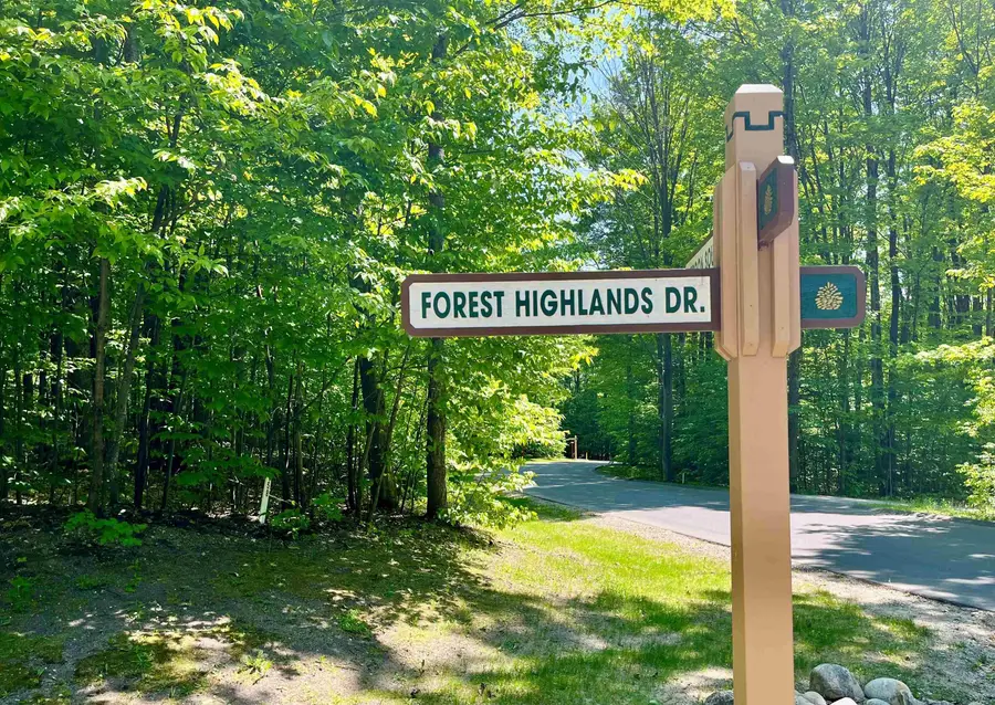 166 Forest Highlands, Bellaire, MI 49615 - #2