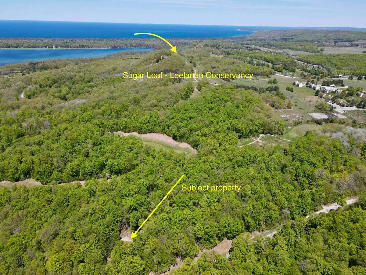 1801 E Old Mountain, Cedar, MI 49621 - #1