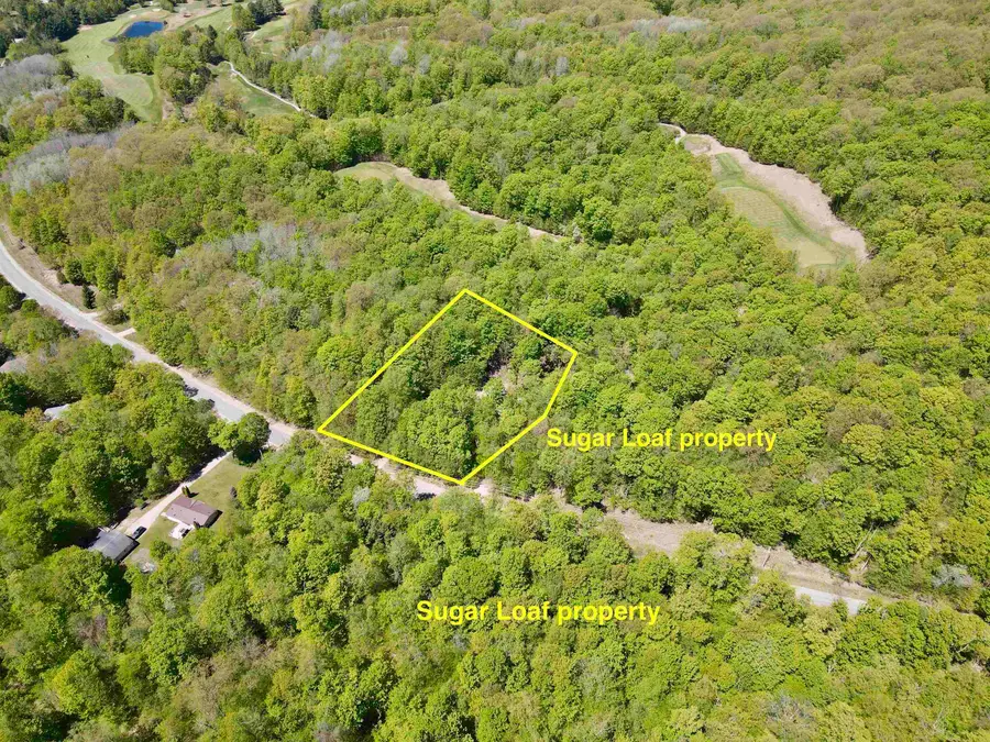 1801 E Old Mountain, Cedar, MI 49621 - #3