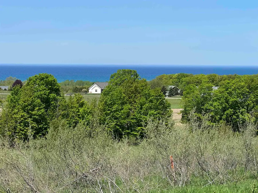 3 Foxview, Charlevoix, MI 49720 - #2