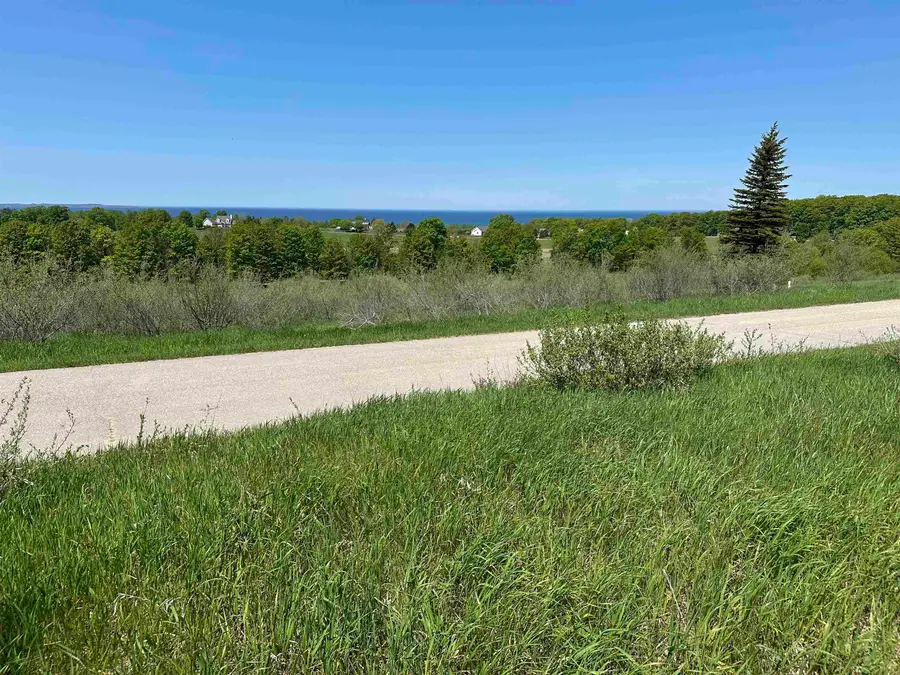 3 Foxview, Charlevoix, MI 49720 - #3