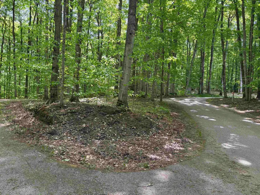 13631 S Beaver Pond, Empire, MI 49630 - #3