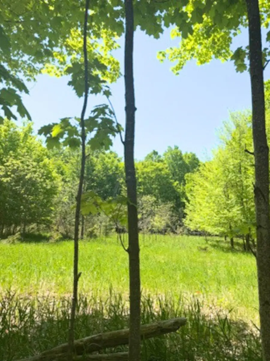 VL Loomis, East Jordan, MI 49727 - #1