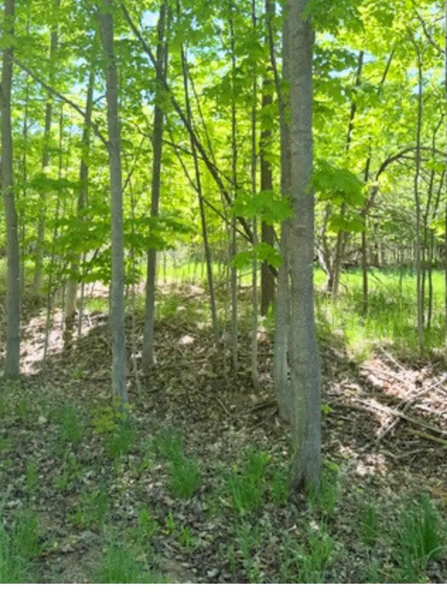 VL Loomis, East Jordan, MI 49727 - #3
