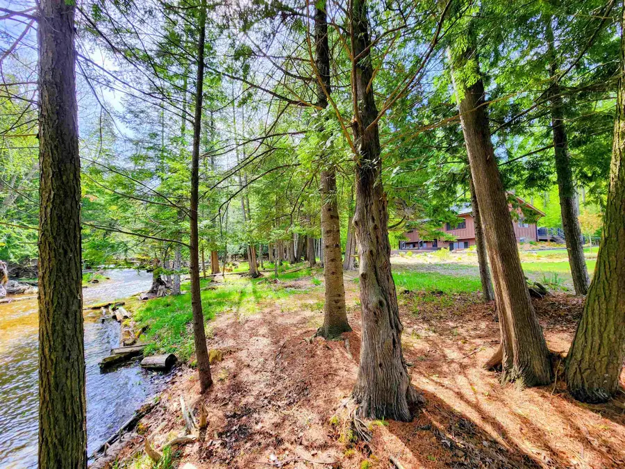 6075 Cedar River, Mancelona, MI 49659 - #3