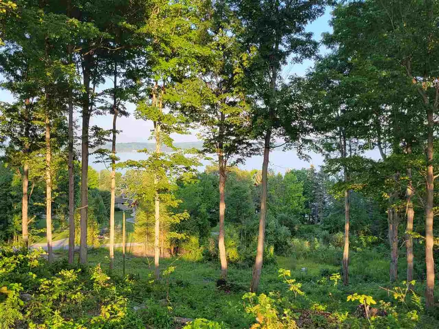 Lot 6 Torch Hills, Rapid City, MI 49676 - #2