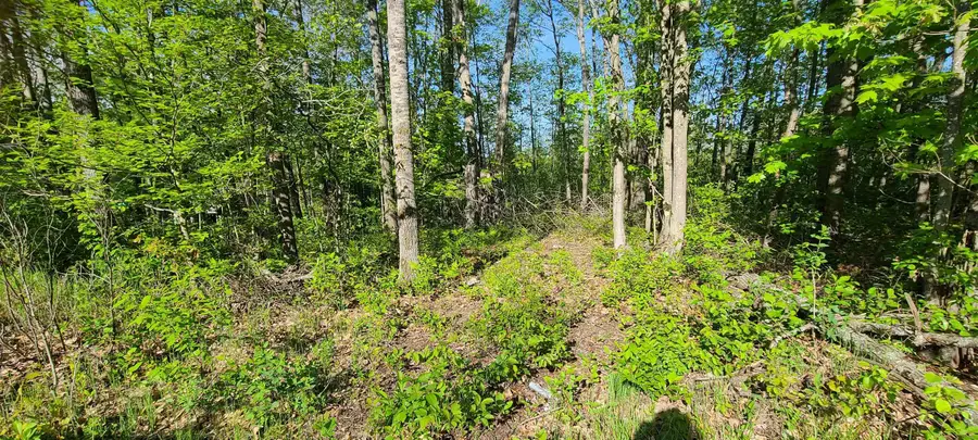 000 Montana, Barton City, MI 48705 - #2