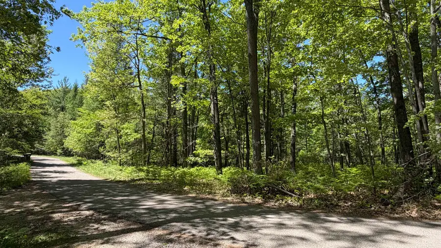 TBD W Lake George, Lake, MI 48632 - #3