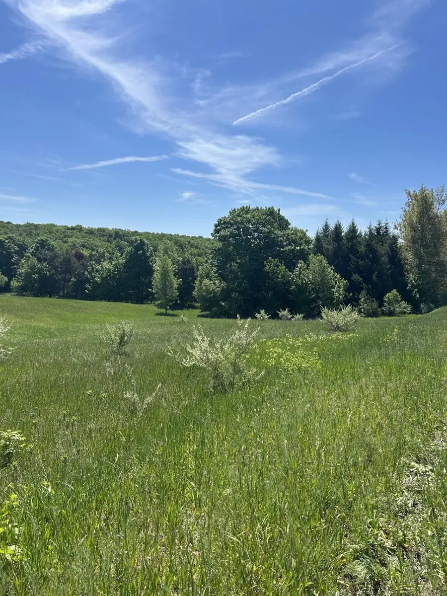 00 Maple Valley, Suttons Bay, MI 49682 - #2