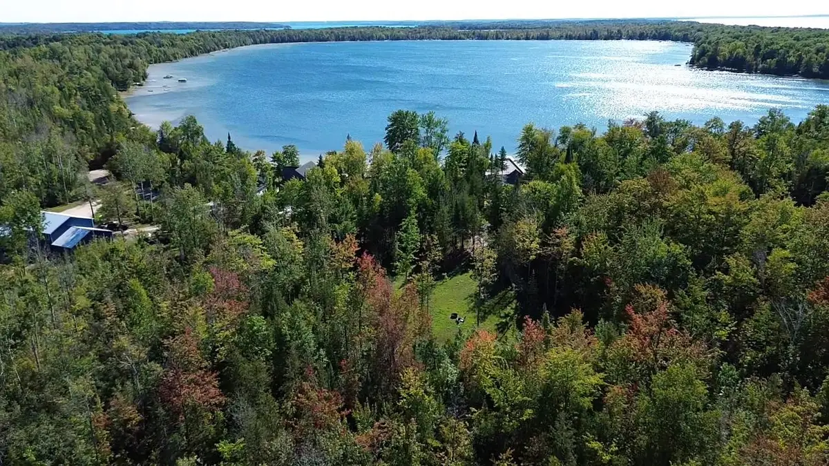 00 Birch Pointe, Kewadin, MI 49648 - #1