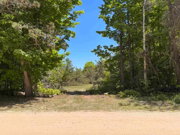 99 Pine Tree, Beulah, MI 49617