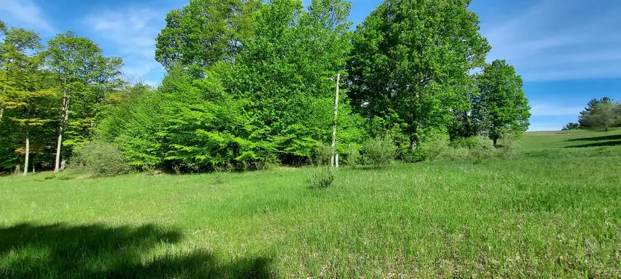 C N Crossover, Bellaire, MI 49615 - #3
