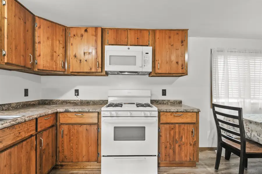 507 River, Luther, MI 49656 - #3