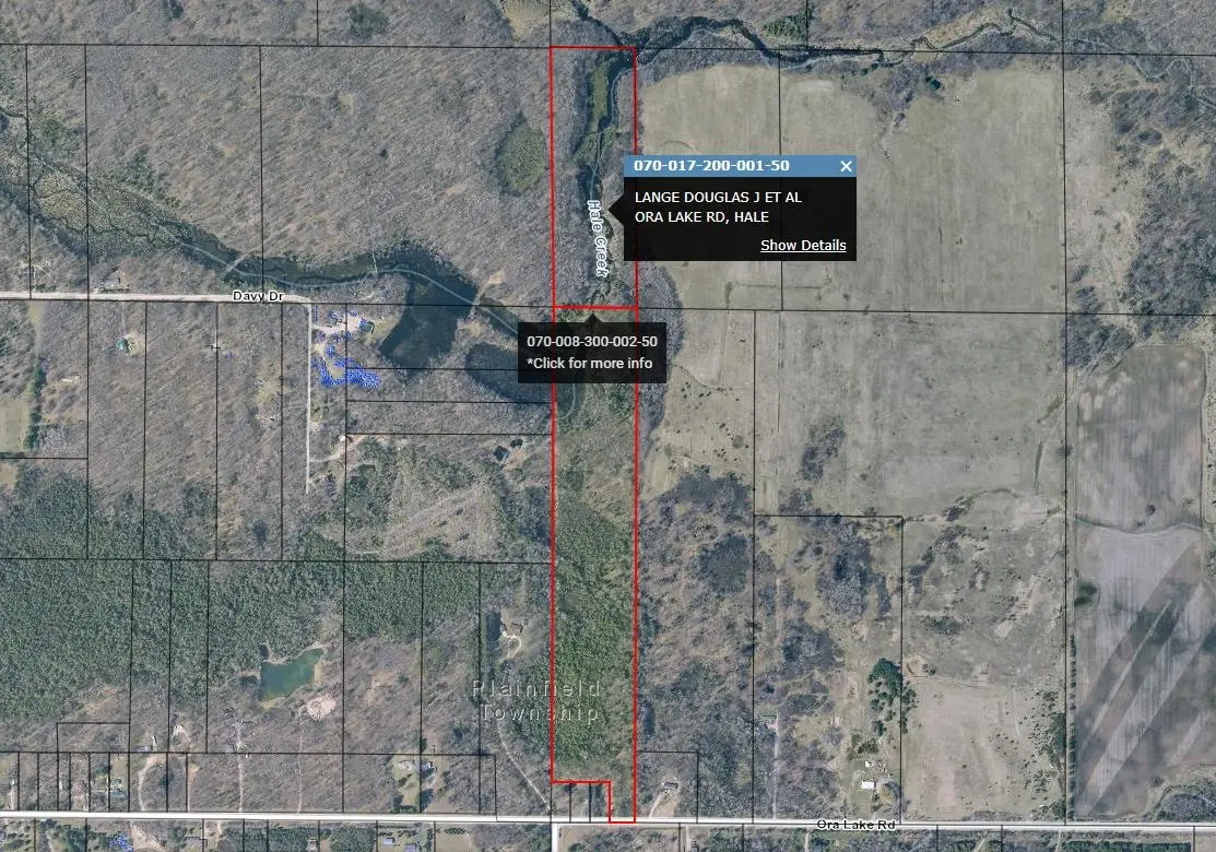 000 Ora Lake, Hale, MI 48739 - #1