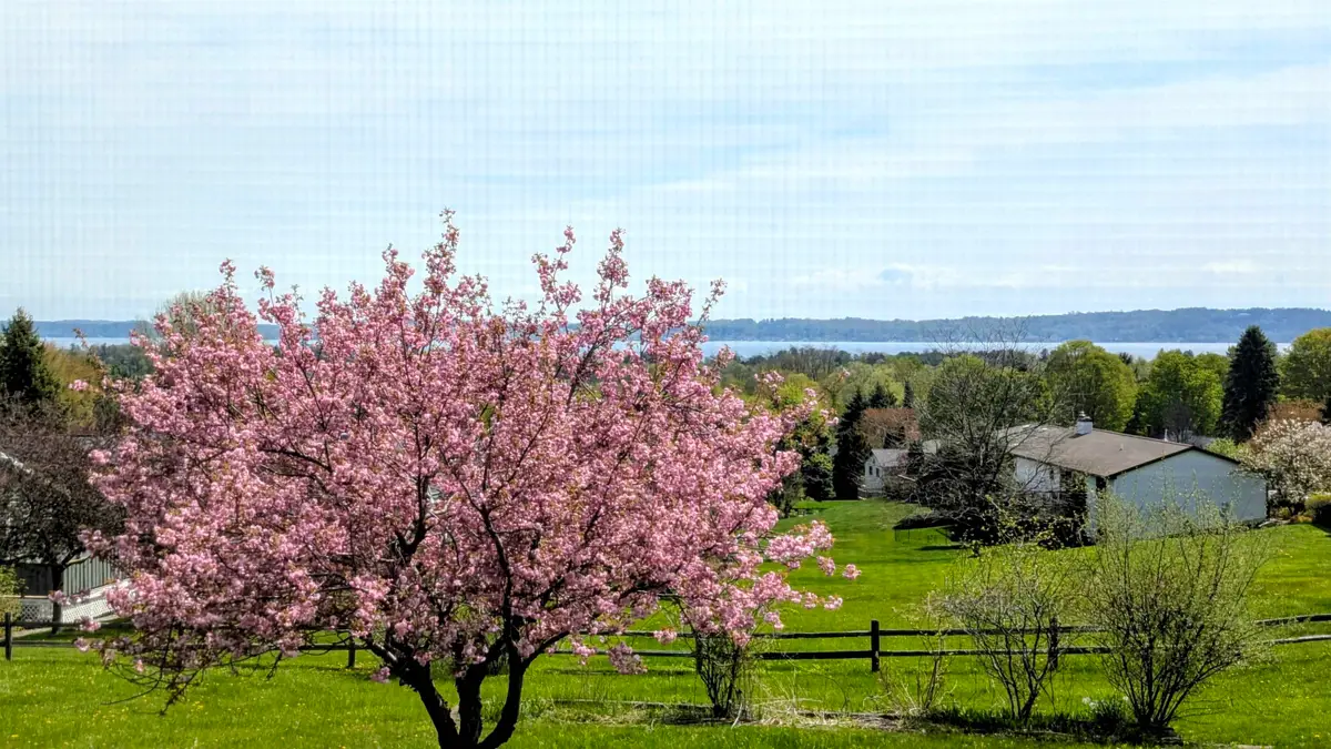 9754 E Harbor Hills #Lot: 48, Traverse City, MI 49684 - #1