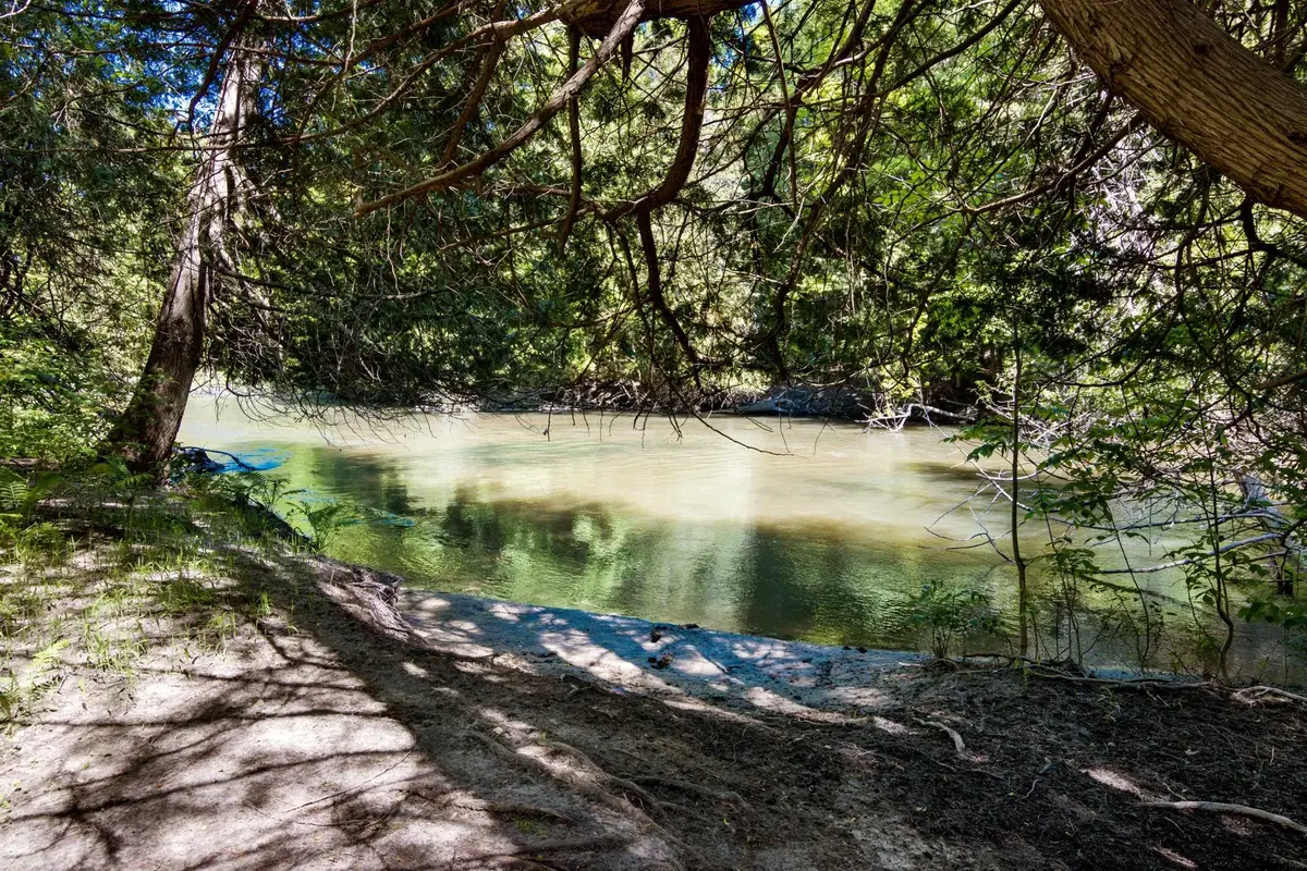 0 Betsie River, Benzonia, MI 49616 - #1