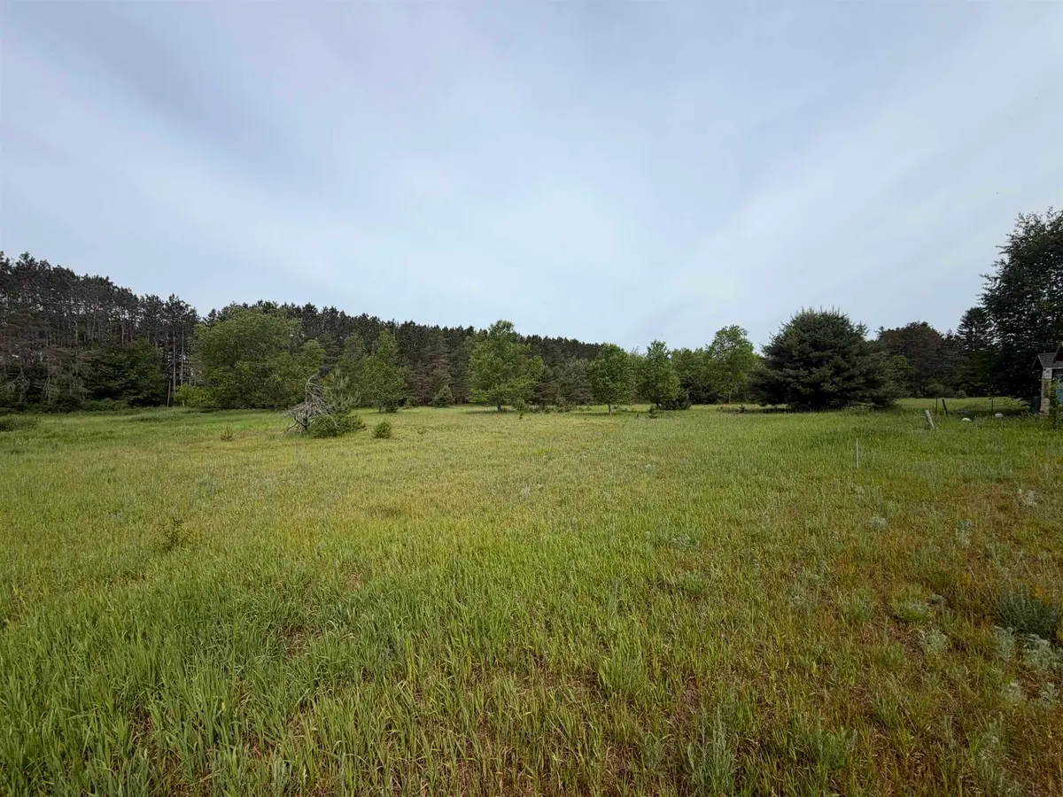 00 Pearl, Thompsonville, MI 49683 - #1