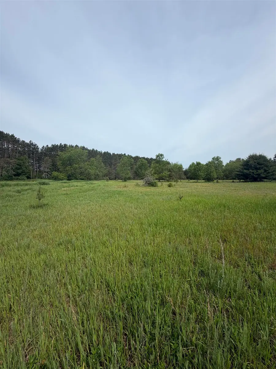 00 Pearl, Thompsonville, MI 49683 - #3