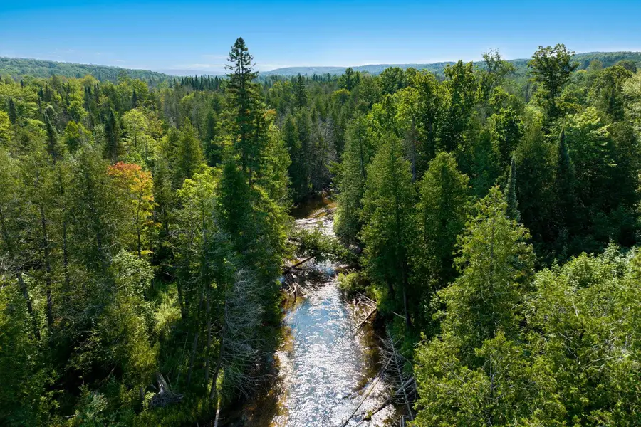 00 Aero Park, Bellaire, MI 49615 - #2