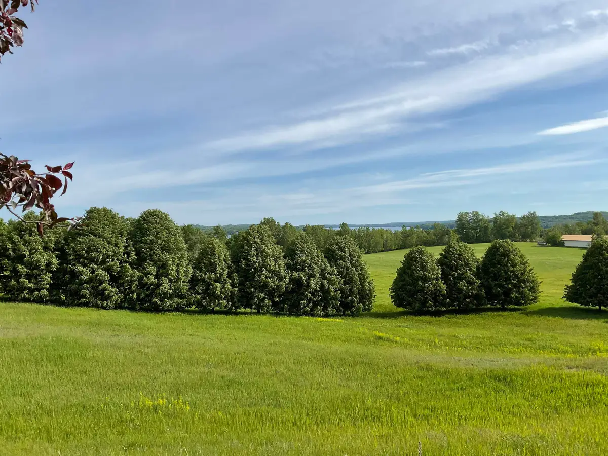 4867 E Water View, Lake Leelanau, MI 49653 - #1