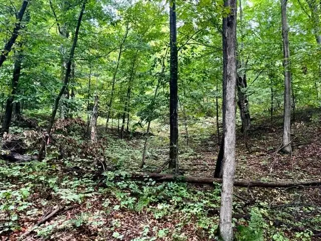 Killdale, Benzonia, MI 49616 - #2